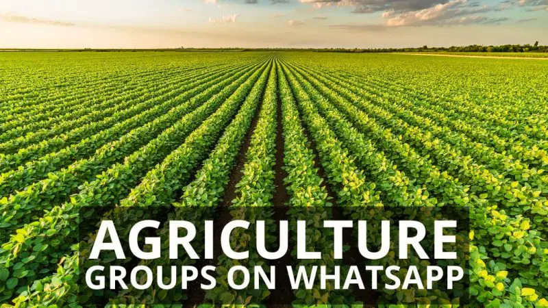 Agriculture WhatsApp Group