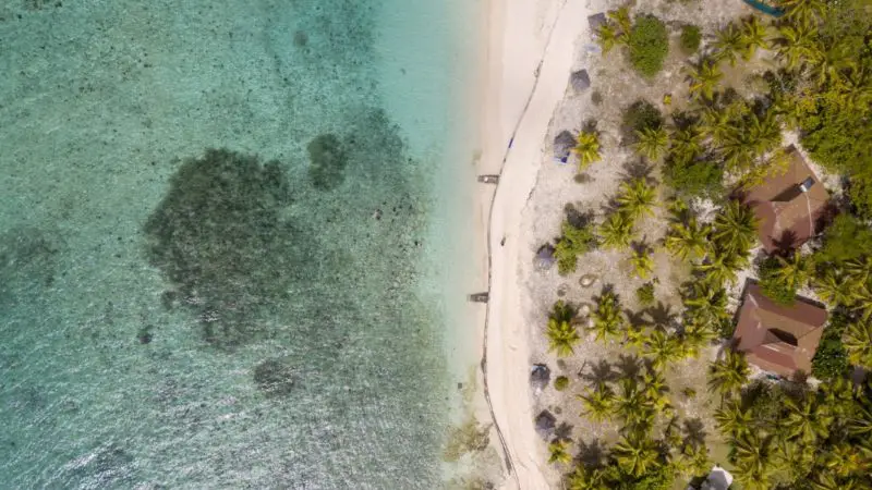 Fiji WhatsApp Group