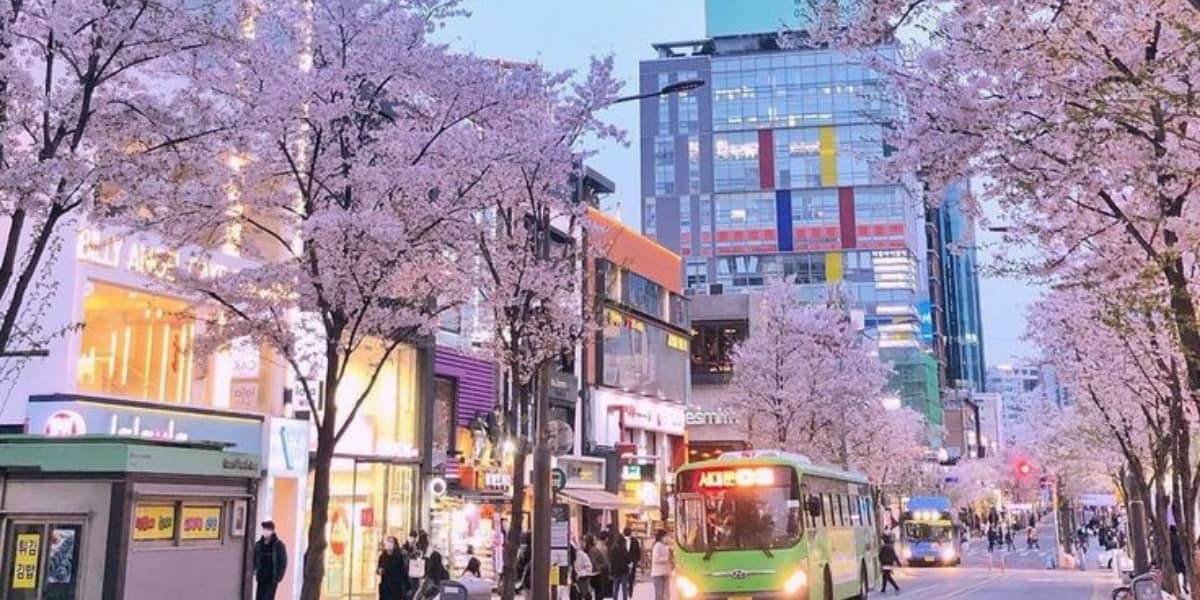 Seoul WhatsApp Group