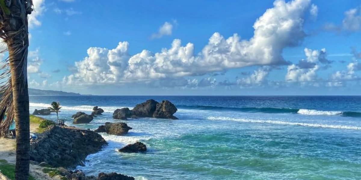 Barbados WhatsApp Group