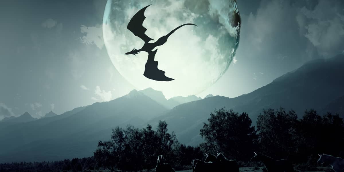 New Dragon Shadow WhatsApp Group