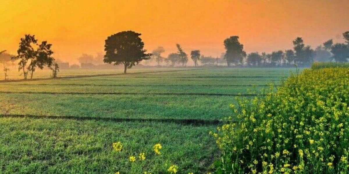 Talwara WhatsApp Group