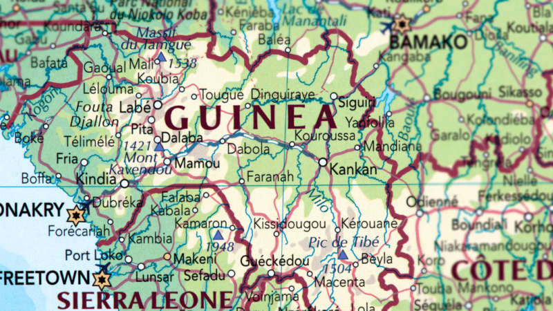 Guinea WhatsApp Group