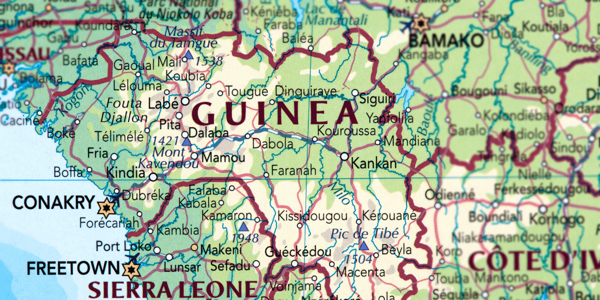 Guinea WhatsApp Group