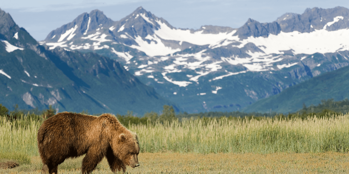 Alaska WhatsApp Group Links