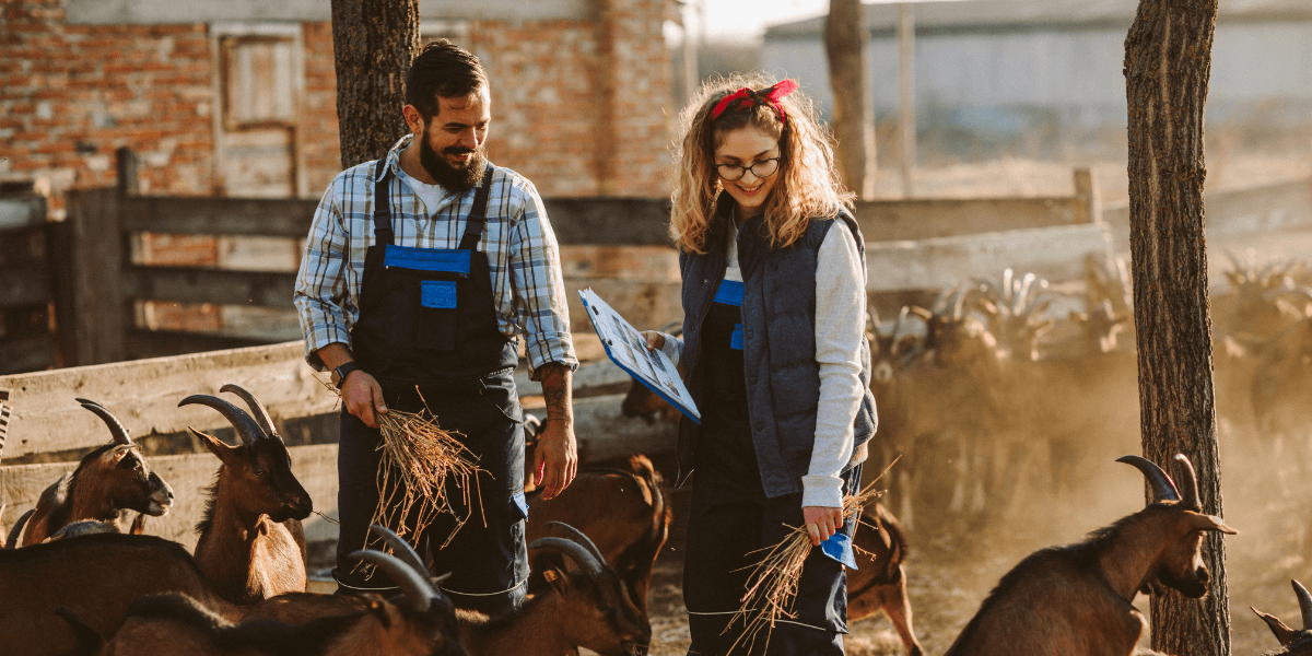 Goat Farming WhatsApp Group Links