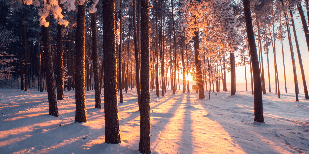 Winter WhatsApp Group Links