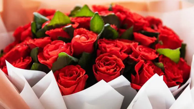 Rose Day WhatsApp Group Links