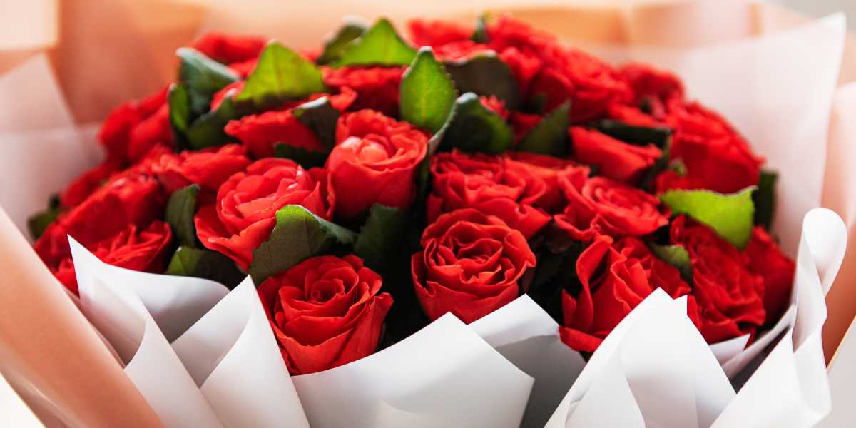 Rose Day WhatsApp Group Links