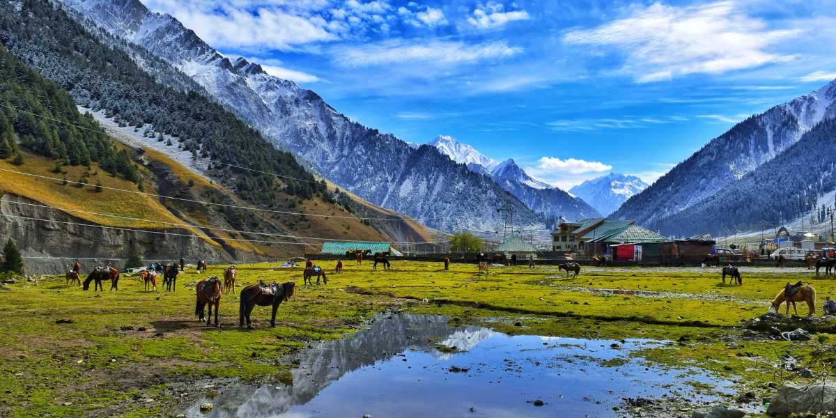Sonamarg WhatsApp Group Links